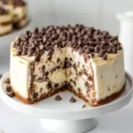 chocolate chip cheesecake cake 2026 02 23 225025 771x1024 1