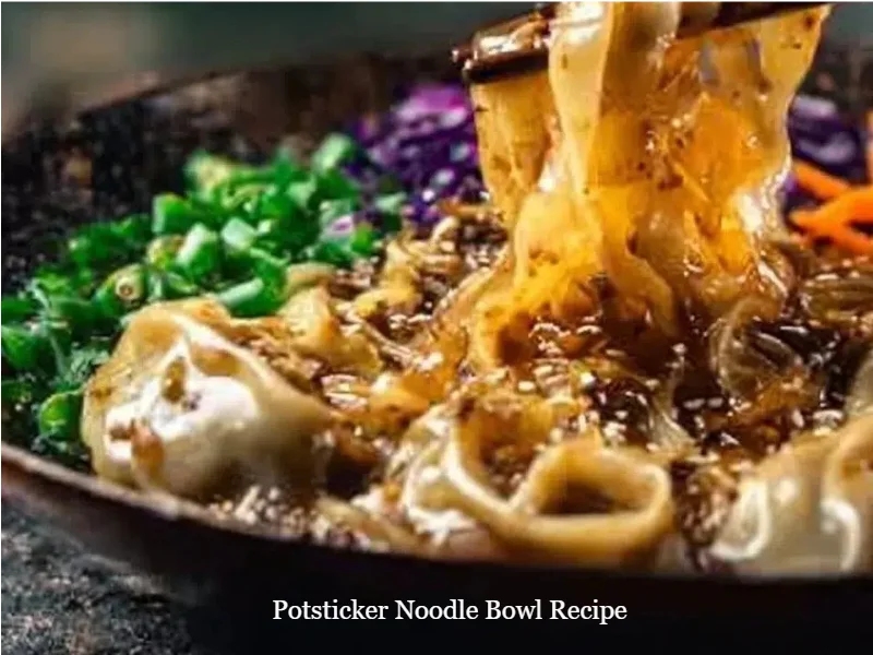 Delicious potsticker noodle bowl with vegetables and broth